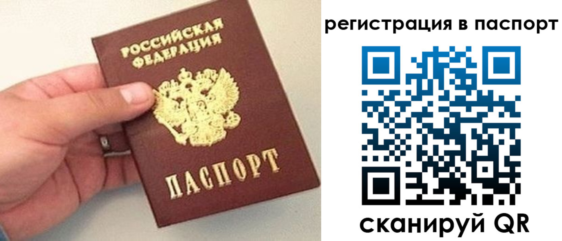 прописка законно в Кашире